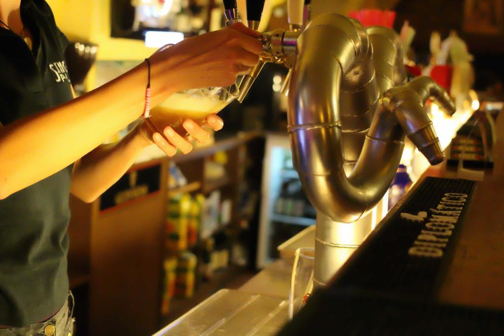Hostel Singer Pub Ceske Budejovice Luaran gambar